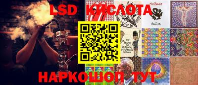 прущие грибы Старая Купавна