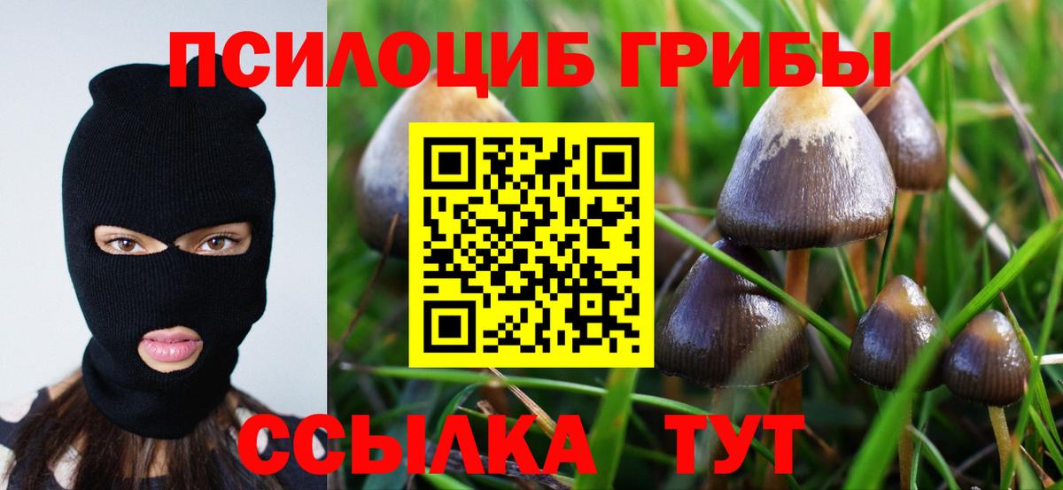 Обнинск  Галлюциногенные грибы GOLDEN TEACHER  Галлюциногенные грибы прущие грибы  Вход с VPN 